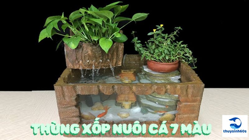 Thùng Xốp Nuôi Cá 7 Màu