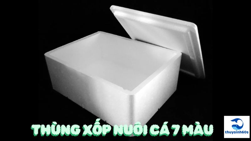 Thùng Xốp Nuôi Cá 7 Màu