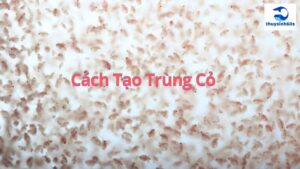 Cách Tạo Trùng Cỏ