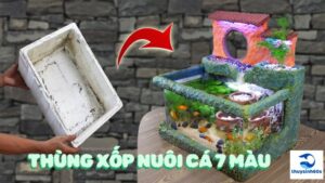 Thùng Xốp Nuôi Cá 7 Màu