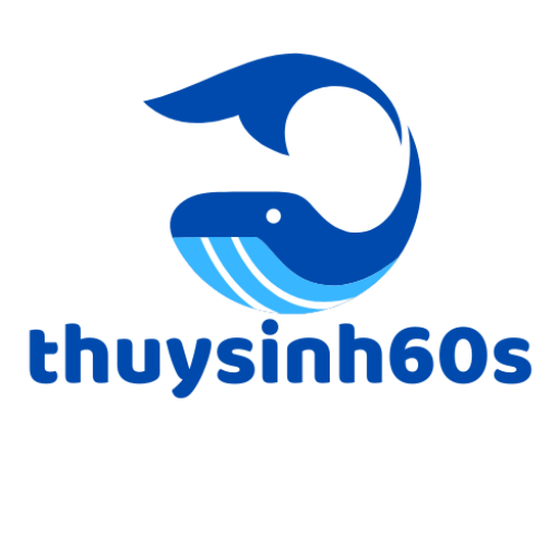 thuysinh60s.com